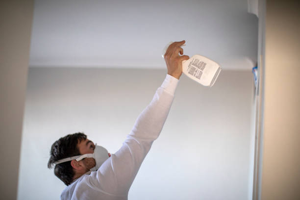 Reliable Martinsville, IL Mold Remediation Solutions