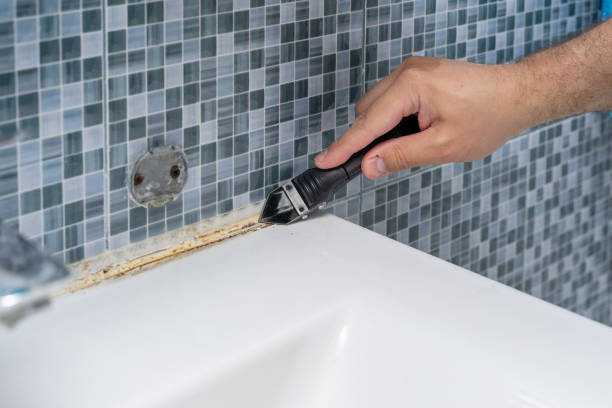 Best Localized Mold Remediation (e.g., coastal areas, humid climates) in Martinsvle, IL