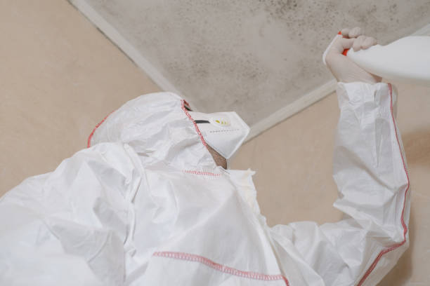 Best Crawl Space Mold Remediation in Martinsvle, IL